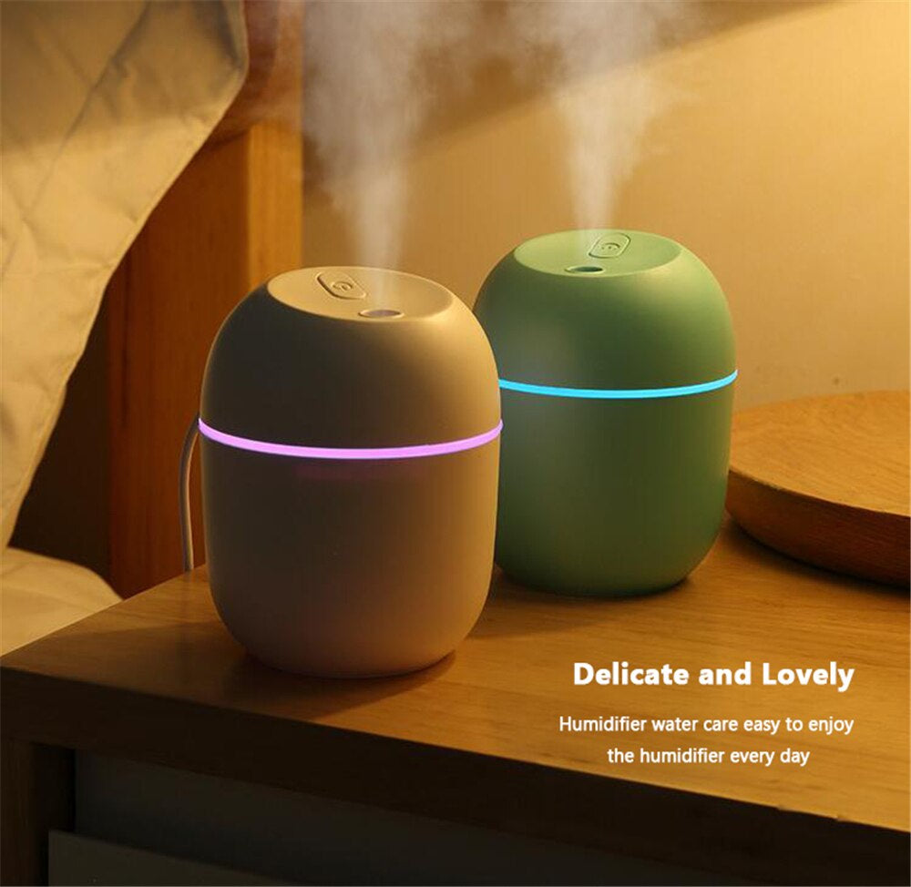 Portable Humidifier