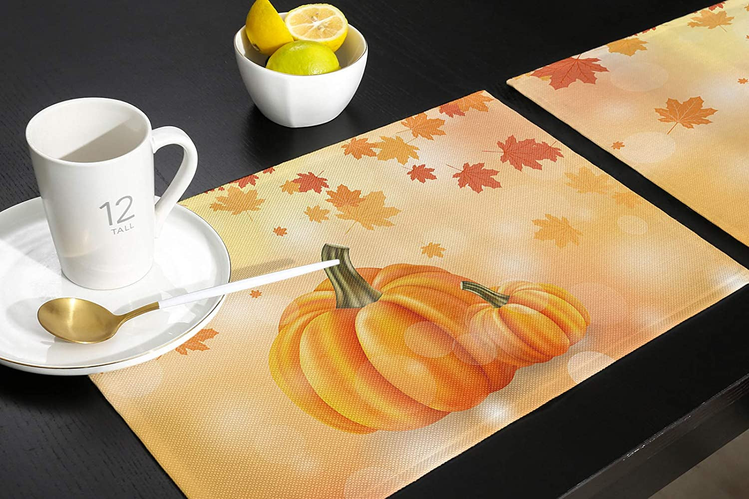 Thanksgiving Placemats Set of 6
