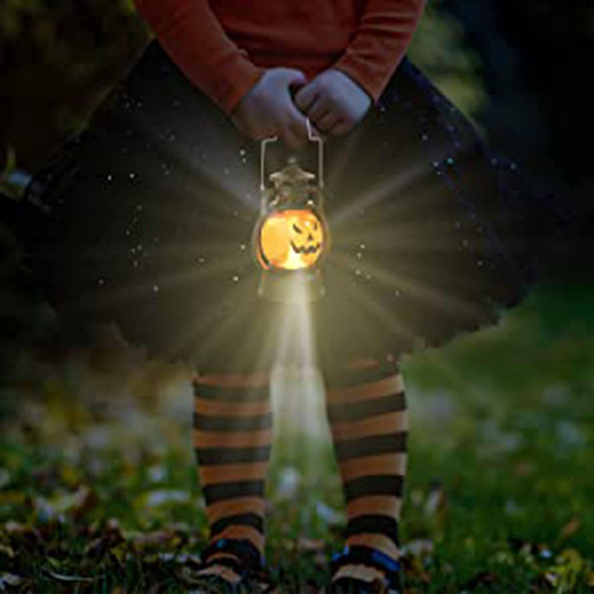 Handheld Pumpkin Lanterns