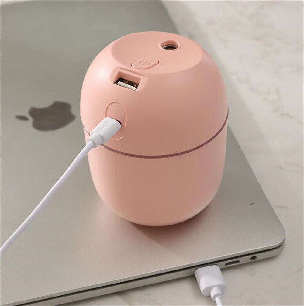 Portable Humidifier