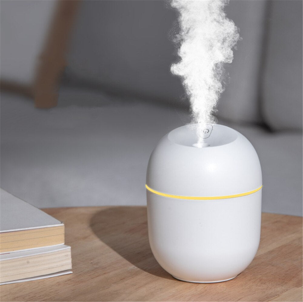 Portable Humidifier