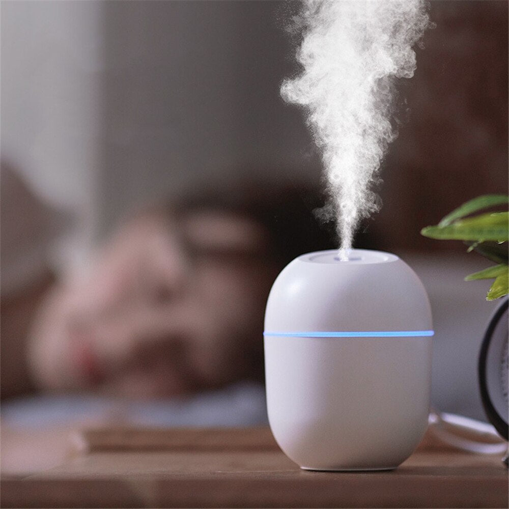 Portable Humidifier